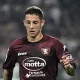 Domagoj Bradaric Salernitana