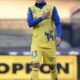 paloschi esulta chievo febbraio 2015 ifa