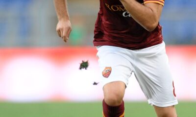 ljajic roma azione 2013 ifa