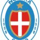 novara logo