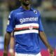 obiang sampdoria 2013 ifa